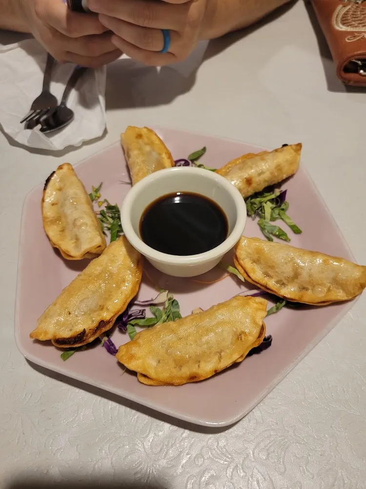 Potstickers -Wouldn't Recommend